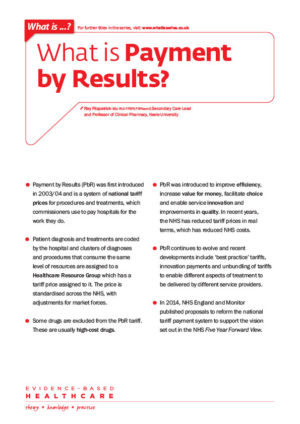 What is payment by results?